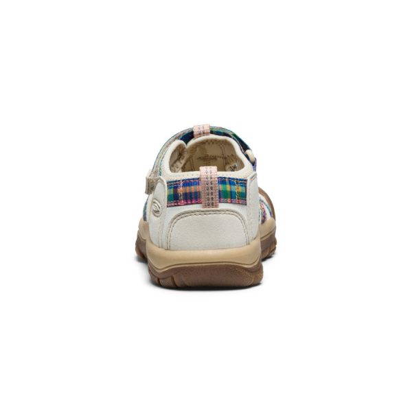 Little Kids' Newport H2 | Gingham/Orchid Smoke