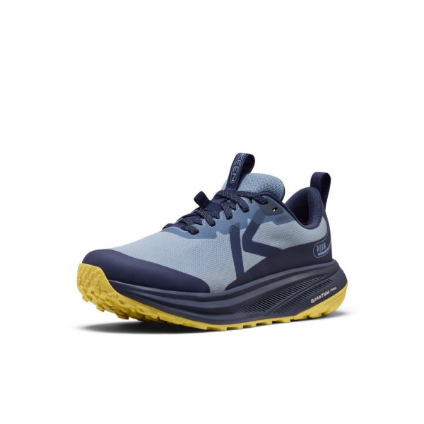 Women's Roam Waterproof Trail Running Shoe | Faded Denim/Lemon Grass