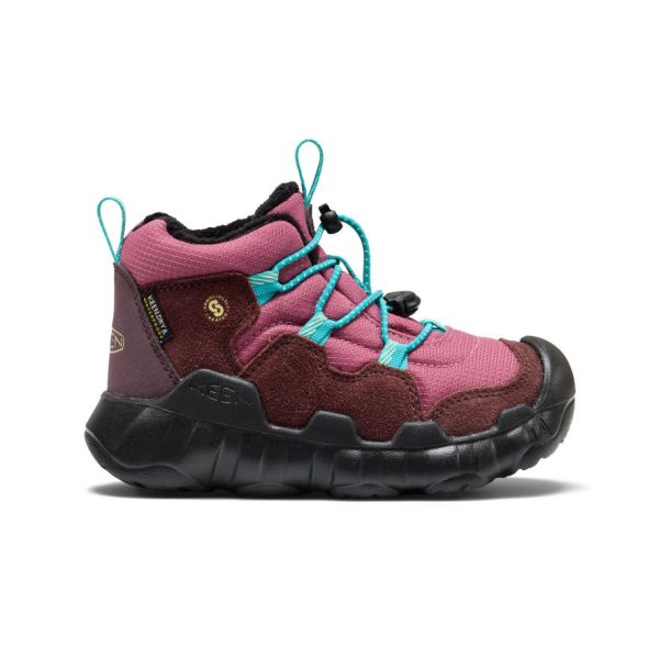 Little Kids' Hypowser Waterproof Chukka | Huckleberry/Violet Quartz