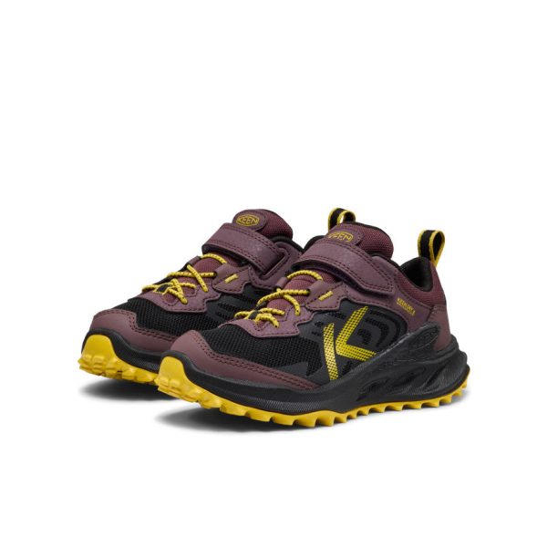 Little Kids' Zionic Waterproof Shoe | Huckleberry/Black