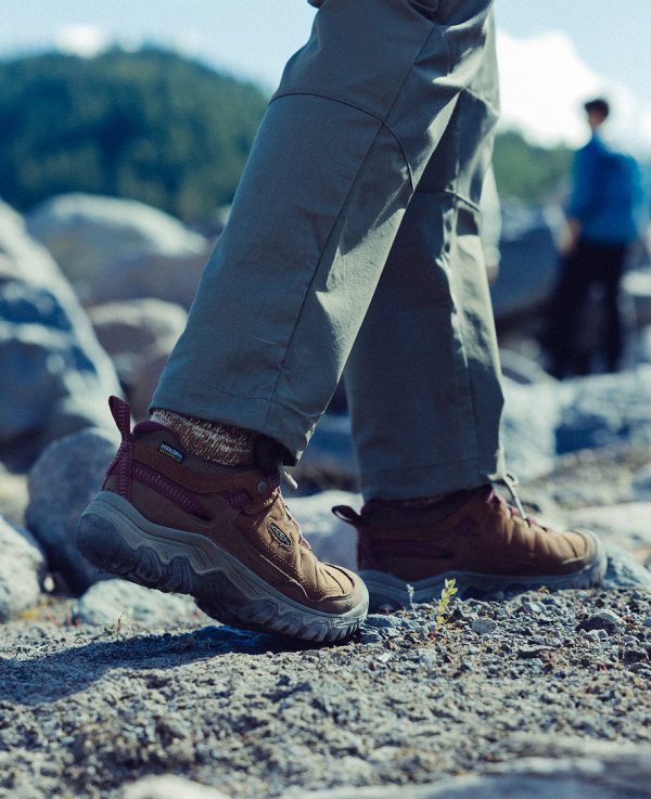 Women's Targhee IV Waterproof Hiking Shoe | Bison/Beaujolais