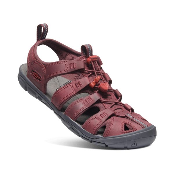 Women's Clearwater Leather CNX | Wine/Red Dahlia