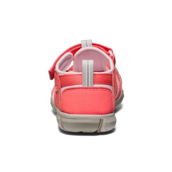 Big Kids' Seacamp II CNX | Dubarry/Giggle Pink