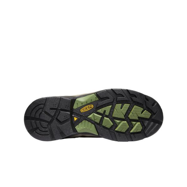 Men's Detroit XT Waterproof Boot (Steel Toe) | Cascade Brown/Bronze Green