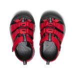 Toddlers' Newport H2 | Ribbon Red/Gargoyle
