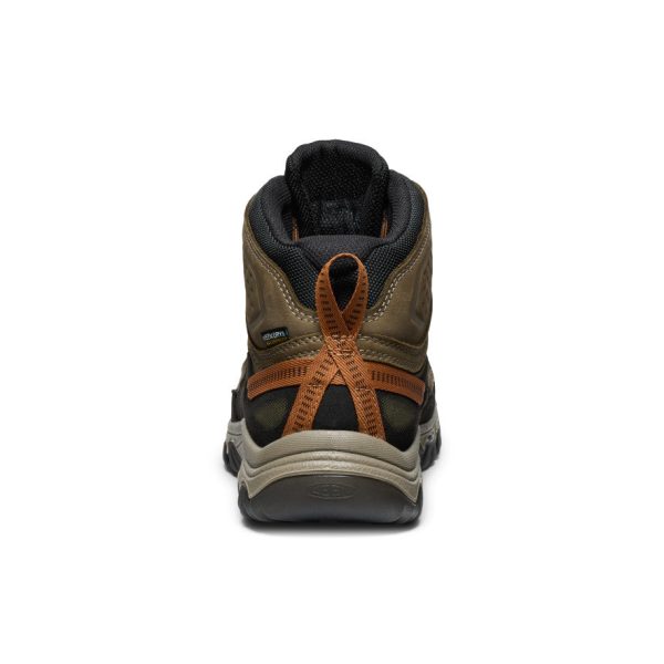 Men's Targhee IV Waterproof Hiking Boot | Sea Turtle/Roasted Pecan