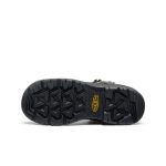 Men's Targhee IV Waterproof Work Boot (Carbon Toe) | Magnet/Black