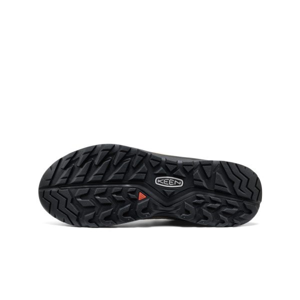 Men's Hightrail Waterproof Hiking Shoe | Chipmunk/Safari