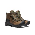 Men's Pittsburgh Energy 6 Waterproof Boot (Carbon Toe)  |  Cascade Brown/Greener Pastures