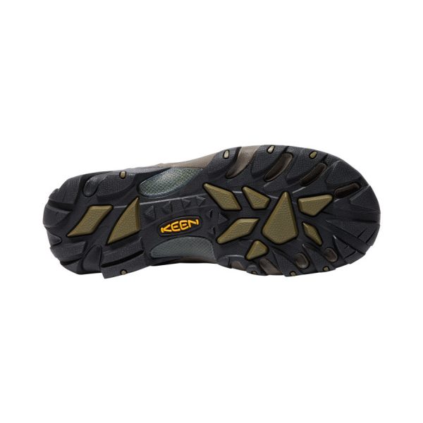 Men's Targhee II Waterproof Mid Wide | Canteen/Dark Olive