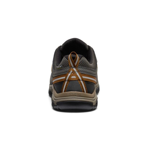 Men's Targhee III Waterproof | Black Olive/Golden Brown