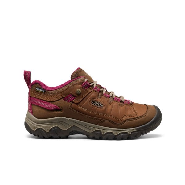 Women's Targhee IV Waterproof Hiking Shoe | Bison/Beaujolais