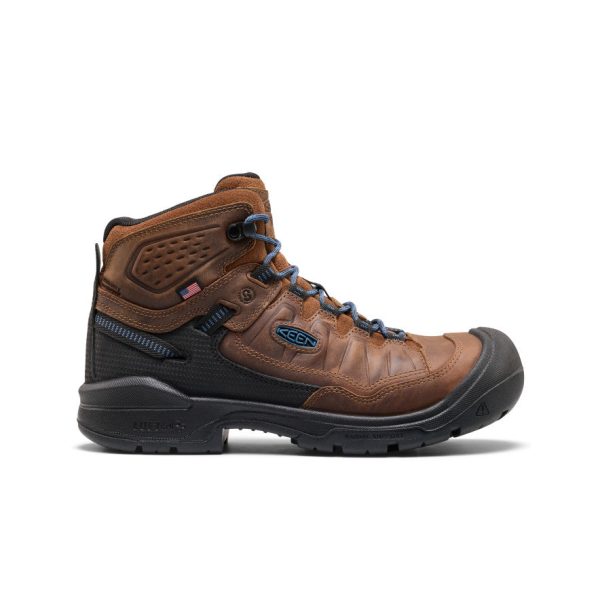 Men's Targhee IV LTR Waterproof Work Boot (Carbon Toe)  |  Bison/Black