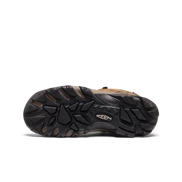 Men's Targhee II Waterproof Mid Wide | Black Olive/Chipmunk