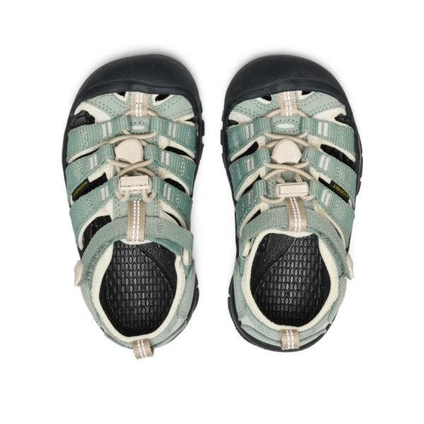 Little Kids' Newport H2 | Lily Pad/Black