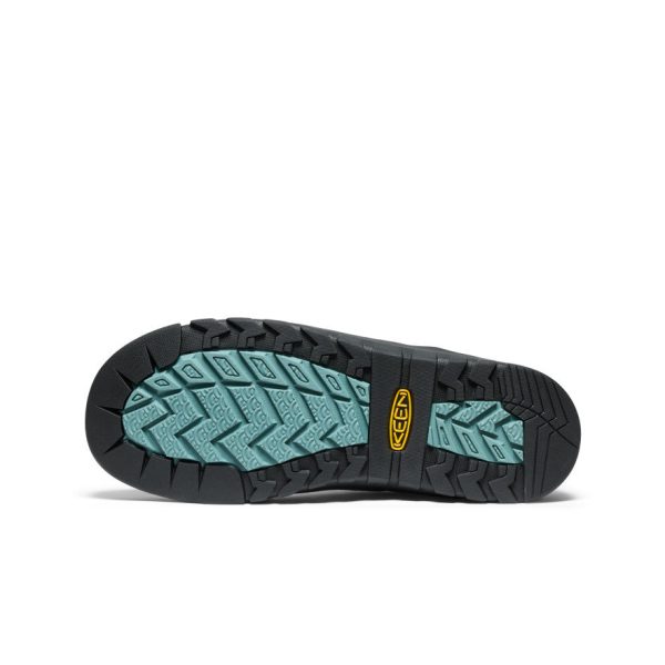 Men's Jasper Rocks Sneaker x Eastlogue | Scarab/Arctic
