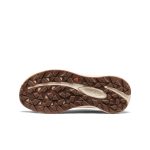 Women's Aspire Shoe | Huckleberry/Birch