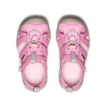 Little Kids' Seacamp II CNX | Moonlite Mauve/Giggle Pink