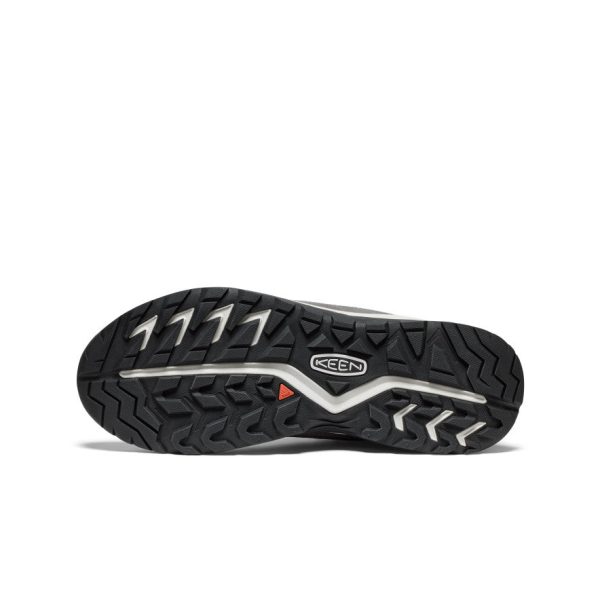 Men's Hightrail Waterproof Hiking Boot | Alloy/Vapor