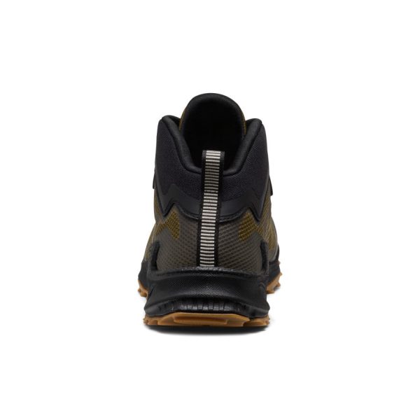 Men's Zionic NXT Waterproof Hiking Boot | Dark Olive/Black