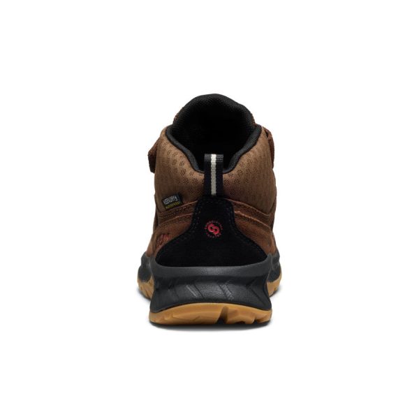 Little Kids' Hightrail Waterproof Hiking Boot | Dark Earth/Garnet