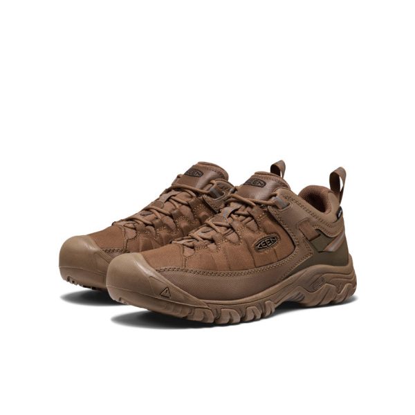 Men's Targhee EXP Waterproof Hiking Shoe | Dark Earth