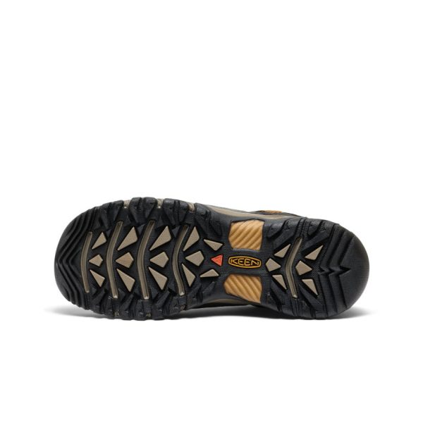 Men's Targhee III Waterproof | Black Olive/Golden Brown