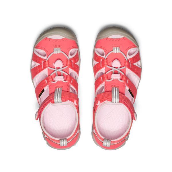 Big Kids' Seacamp II CNX | Dubarry/Giggle Pink
