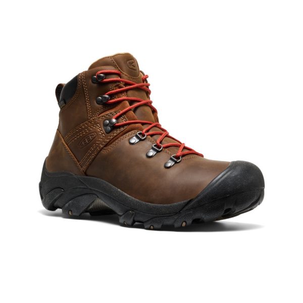 Men's Pyrenees Waterproof Hiking Boot | Syrup