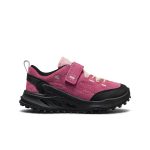 Little Kids' Jasper Zionic Sneaker | Violet Quartz Velour