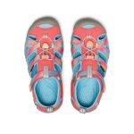 Big Kids' Seacamp II CNX | Ombre Pink Lemonade