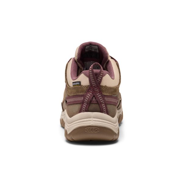 Women's Targhee IV Waterproof Hiking Shoe | Canteen/Huckleberry