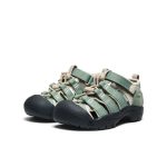 Little Kids' Newport H2 | Lily Pad/Black