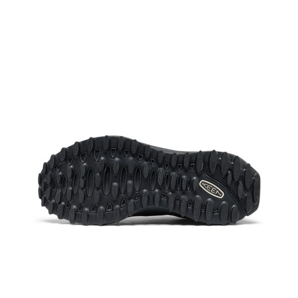 Women's Jasper Zionic Waterproof Sneaker  |  Black/Violet Quartz