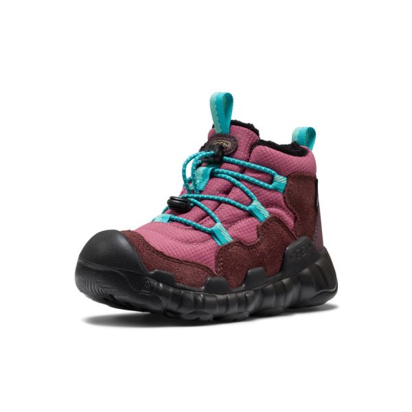 Little Kids' Hypowser Waterproof Chukka | Huckleberry/Violet Quartz