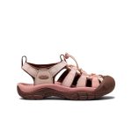 Women's Newport H2  |  Gradient Cameo Rose