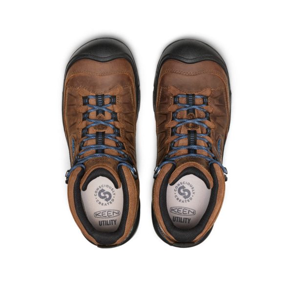 Men's Targhee IV LTR Waterproof Work Boot (Carbon Toe)  |  Bison/Black