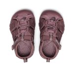 Toddlers' Seacamp II CNX namuk Sandal  |  Mauve