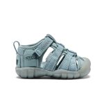Toddlers' Seacamp II CNX namuk Sandal  |  Ice Blue