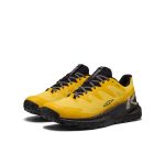 Men's Targhee Apex Waterproof Hiking Shoe | Symphonic Sunset/Black