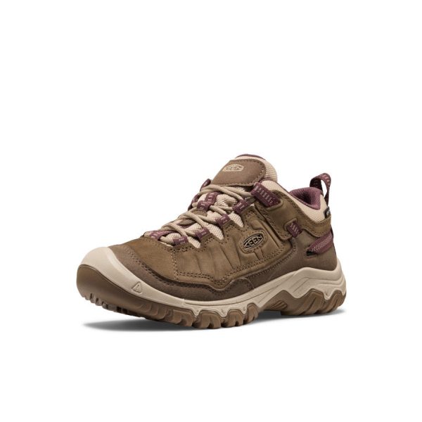 Women's Targhee IV Waterproof Hiking Shoe | Canteen/Huckleberry
