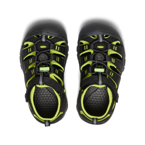 Little Kids' Newport H2 | Black/Lime Green