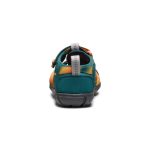 Little Kids' Seacamp II CNX  |  Ombre Mediterranea