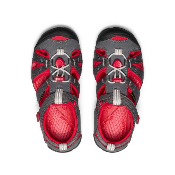 Big Kids' Seacamp II CNX  |  Magnet/Red Carpet