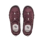 Women's Targhee EXP Waterproof Hiking Shoe | Huckleberry