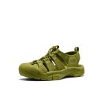 Men's Newport H2 Sandal | Monochrome/Golden Cyprus