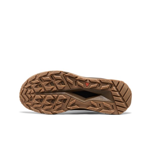 Men's Targhee Apex Waterproof Hiking Shoe | Java/Dark Earth