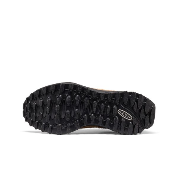 Men's Jasper Zionic Sneaker | Chipmunk/Huckleberry