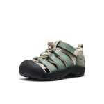 Little Kids' Newport H2 | Lily Pad/Black
