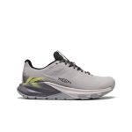 Men's Targhee Apex Waterproof Hiking Shoe  |  Alloy/Evening Primrose